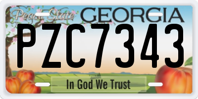GA license plate PZC7343