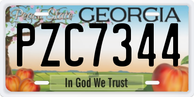 GA license plate PZC7344