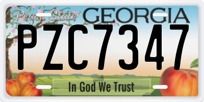 GA license plate PZC7347