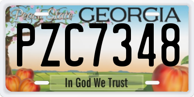 GA license plate PZC7348