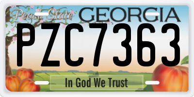 GA license plate PZC7363