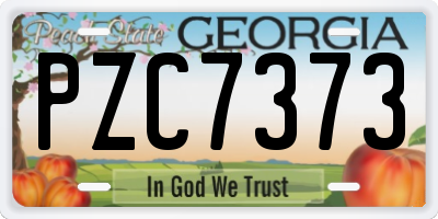 GA license plate PZC7373