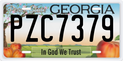 GA license plate PZC7379
