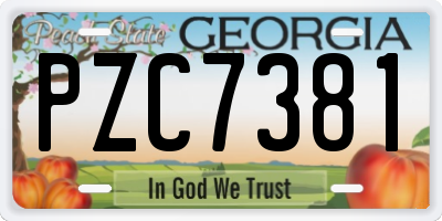 GA license plate PZC7381