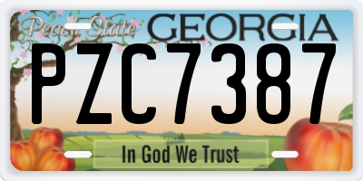 GA license plate PZC7387
