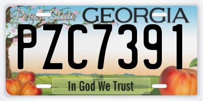 GA license plate PZC7391