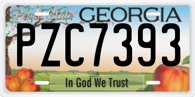 GA license plate PZC7393