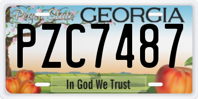 GA license plate PZC7487