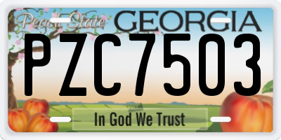 GA license plate PZC7503