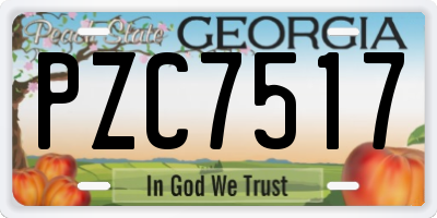 GA license plate PZC7517
