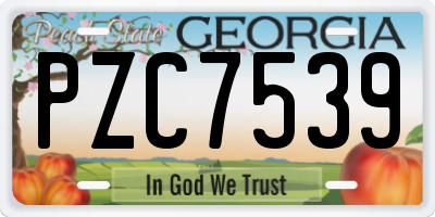 GA license plate PZC7539