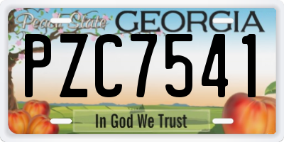 GA license plate PZC7541