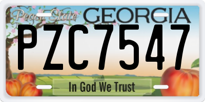 GA license plate PZC7547