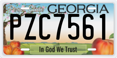 GA license plate PZC7561
