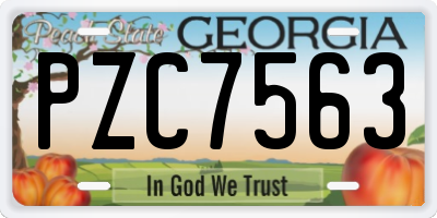 GA license plate PZC7563