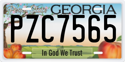 GA license plate PZC7565