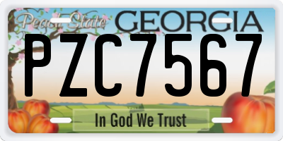 GA license plate PZC7567