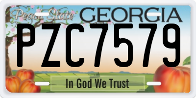 GA license plate PZC7579