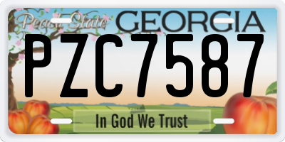 GA license plate PZC7587