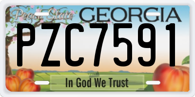 GA license plate PZC7591