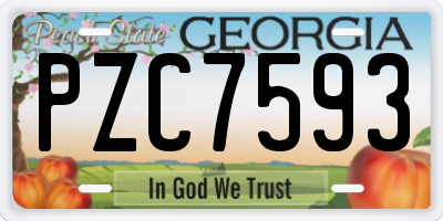 GA license plate PZC7593