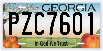 GA license plate PZC7601