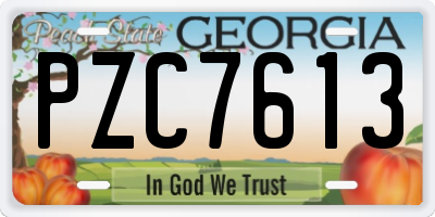 GA license plate PZC7613