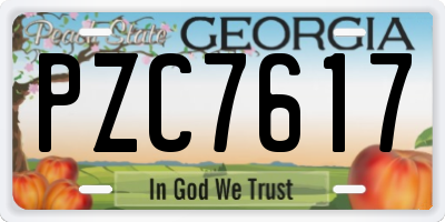 GA license plate PZC7617