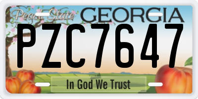 GA license plate PZC7647