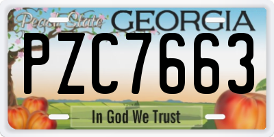 GA license plate PZC7663