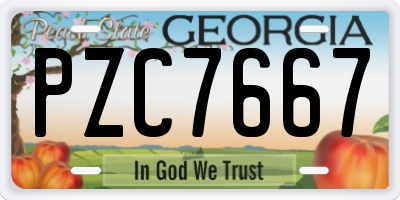 GA license plate PZC7667