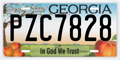 GA license plate PZC7828