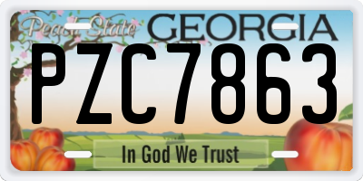 GA license plate PZC7863