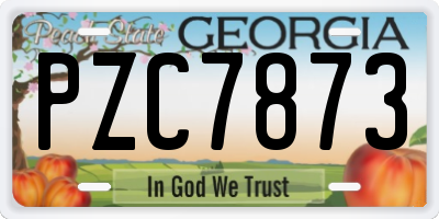 GA license plate PZC7873
