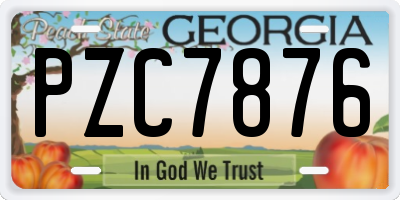GA license plate PZC7876