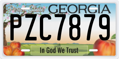 GA license plate PZC7879