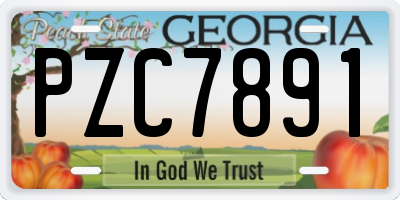 GA license plate PZC7891