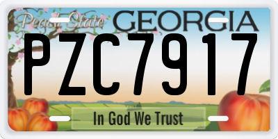 GA license plate PZC7917
