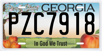 GA license plate PZC7918
