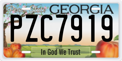 GA license plate PZC7919