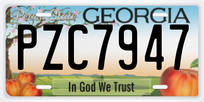 GA license plate PZC7947
