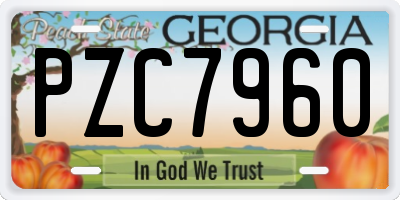 GA license plate PZC7960