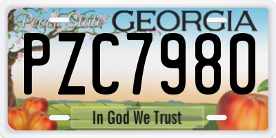 GA license plate PZC7980
