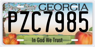 GA license plate PZC7985