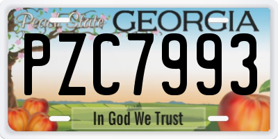 GA license plate PZC7993