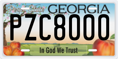 GA license plate PZC8000
