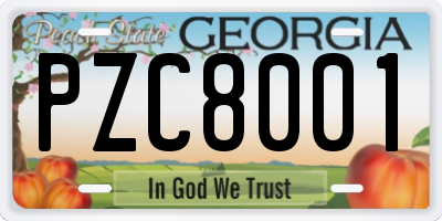 GA license plate PZC8001