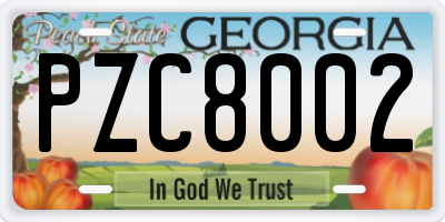 GA license plate PZC8002