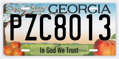 GA license plate PZC8013