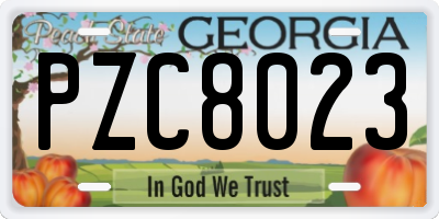 GA license plate PZC8023